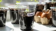 Cara Membuat Wadah Semai Dari Gelas Plastik Bekas Minuman, Praktis dan Ramah Lingkungan