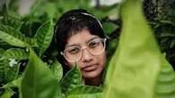 Tipe Frame Kacamata yang Cocok untuk Wajah Lebar, Tebal atau Tipis? Ini Trik Pemilihnya