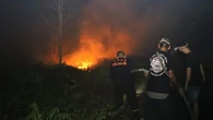 Kebakaran di Sekitar Bandara Singkawang bak Lautan Api, Sulit Dipadamkan