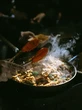 5 Resep Tumis Daging Sapi yang Sudah Direbus, Ide Menu Idul Adha Praktis