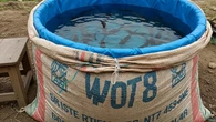 7 Ide Ternak Lele dari Barang Bekas di Rumah, Solusi Praktis Panen Ikan di Lahan Sempit