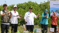 Cegah Abrasi dan Rob, Taj Yasin Tanam 1.000 Mangrove di Sayung Demak