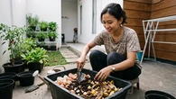 8 Barang Dapur Sisa yang Bisa Dipakai untuk Tanaman, Modal Sampah Tapi Subur