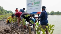 BRI Peduli Perkuat Aksi Lingkungan di Hari Mangrove Sedunia 2025 Lewat Program Penanaman d...