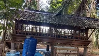 Jelang Iduladha, 4 Ekor Kambing Raib di Temuasri Banyuwangi