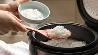Kenapa Nasi Sering Cepat Basi Padahal Pakai Magic Jar? Ini Kesalahan yang Sering Terjadi