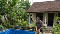 Ide Ternak Ikan di Halaman Rumah agar Tidak Sering Beli Lauk, 6 Strategi Mandiri Pangan