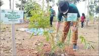 Mengenal Arboretum Bambu Hingga Upaya Pemkab Purwakarta Harmonisasi Pendidikan dengan Ling...