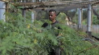 Jaga Pasokan Biomassa, Petani Gunung Kidul Gunakan Teknologi Canggih