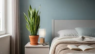 Jangan Taruh Tanaman di Kamar, Ini Kata Ahli Feng Shui dan Alasannya
