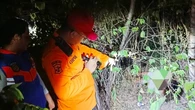 Geger Wanita Tanpa Busana Ditemukan Tewas di Area Sawah Perumahan Elite Surabaya