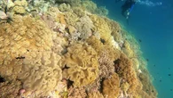 Kontamale di Pulau Wangi-Wangi, Pesona Pemandian Umum di Ceruk Gua