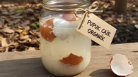 Cara Membuat Pupuk Organik dari Air Cucian Beras dan Cangkang Telur untuk Pohon Buah Naga