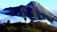 Hutan Desa Ngablak Magelang, Destinasi Healing di Lereng Merbabu