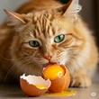 Bolehkah Kucing Makan Telur Mentah? Ketahui Keamanannya untuk Anabul