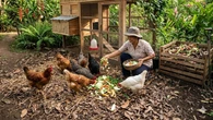 10 Ternak Kecil yang Bisa Memanfaatkan Sisa Sayur Dapur, Bantu Kurangi Limbah Rumah Tangga
