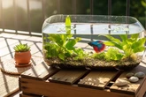 12 Tanaman Air yang Cocok untuk Kolam Cupang Galon, Ciptakan Ekosistem Sehat