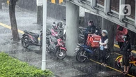 Bahaya Berteduh di Bawah Pohon Saat Hujan, Waspada Sambaran Petir dan Pohon Tumbang