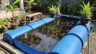Cara Membuat Kolam Lele dari Drum Plastik Bekas, Praktis dan Hemat Lahan
