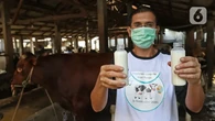 Kata Profesor IPB, Rutin Minum Susu Cara Alami Bikin Rambut Sehat, Lebat, dan Anti Rontok