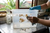 Cara Menghilangkan Bekas Stiker pada Wadah Plastik, Bersih Tanpa Merusak Permukaan