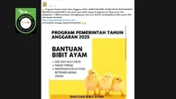 Deretan Hoaks Berkedok Bantuan Pemerintah, Awas Jangan Terjebak