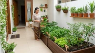 10 Ide Kebun Sederhana agar IRT Tidak Kehabisan Bahan Masakan, Wujudkan Dapur Hemat