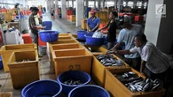 Penyaluran KUR Sektor Kelautan dan Perikanan Capai Rp 1,71 Triliun
