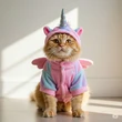 7 Model Baju Kucing Lucu dan Unik, Bikin Makin Gemas