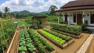 8 Model Kebun dan Peternakan Mini yang Bisa Jadi Penghasilan Tambahan di Rumah