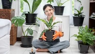 7 Rekomendasi Tanaman Daun Unik agar Taman Rumah Makin Menawan