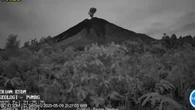 Gunung Semeru Erupsi 13 Kali, Tinggi Letusan Capai 1 Kilometer