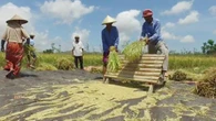 Mulai Masuk Kemarau, Petani NTB Diimbau Asuransikan Lahan