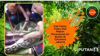 Cek Fakta: Video Ular Makan Perempuan Ini Bukan di Citraland Jakarta