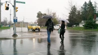 Heavy rain and possible thunderstorms prompt special weather statement for Waterloo region and area
