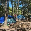 Homeless people in Nova Scotia's woods choosing to stay despite ban, wildfire risk