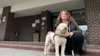 Disabled woman, and her service dog, win fight with Toronto-area condo