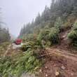 2nd person confirmed dead in Vancouver Island washout