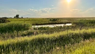 Proposed Wheatland County AI data centre hits close to home for concerned residents