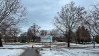 Trees chopped down in downtown's Ivey Park to make way for sewer work