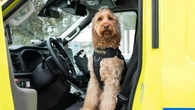 Meet Charlotte, a canine first responder bringing pawsitivity to a Quebec community