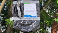 Elora's paid parking system temporarily suspended after reports QR code sent people to porn site