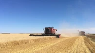 Sask. AgriStability program bumps up compensation rate to combat tariffs, drought
