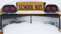 School buses cancelled in London region amid snow squall warning