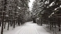 Sudbury-area snowmobile club says many riders didn't purchase permits this last season