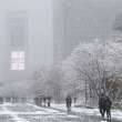 Record snowfall hits Seoul, grounds hundreds of flights and knocks out power