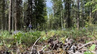 Whitehorse saw driest June in nearly a century
