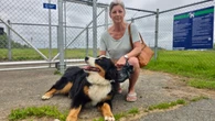 As the cost of pet meds soar, N.B. won't allow pharmacies to sell cheaper options to owners