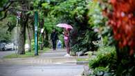 Rain, snowfall warnings issued as fall storm blows through B.C.