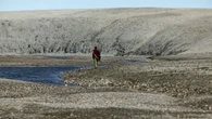 Proteins from rhino fossil found in Nunavut crater dated to 20 million years
